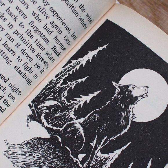 Book | Call of the Wild - Picture 2 of 3